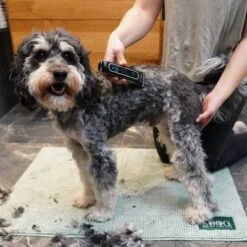 Kooa Akku-Schermaschine GEAR 3S -Günstiges Kornfrei Futter Geschäft 293196 kooa akku schermaschine gear 3s 4 7