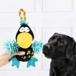 Doglove Hundespielzeug Bird -Günstiges Kornfrei Futter Geschäft 303096 edupet doglove hundespielzeug vogel hs 03 6