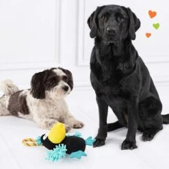 Doglove Hundespielzeug Bird -Günstiges Kornfrei Futter Geschäft 303096 edupet doglove hundespielzeug vogel hs 05 2