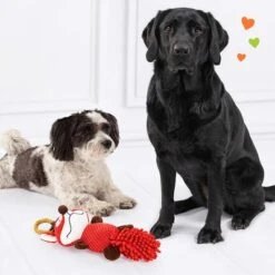 Doglove Hundespielzeug Fuchs -Günstiges Kornfrei Futter Geschäft 303196 edupet doglove hundespielzeug fuchs hs 05 9