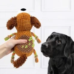 Doglove Hundespielzeug Pooch -Günstiges Kornfrei Futter Geschäft 303596 edupet doglove hundespielzeug hund hs 03 0