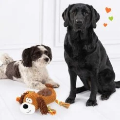 Doglove Hundespielzeug Pooch -Günstiges Kornfrei Futter Geschäft 303596 edupet doglove hundespielzeug hund hs 05 8