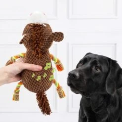 Doglove Hundespielzeug Pferd -Günstiges Kornfrei Futter Geschäft 303597 edupet doglove hundespielzeug pferd hs 03 7