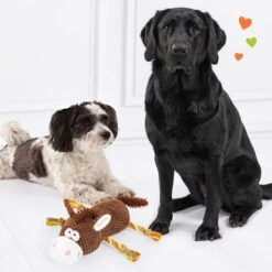 Doglove Hundespielzeug Pferd -Günstiges Kornfrei Futter Geschäft 303597 edupet doglove hundespielzeug pferd hs 05 3