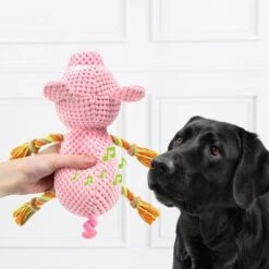 Doglove Hundespielzeug Schwein -Günstiges Kornfrei Futter Geschäft 303598 edupet doglove hundespielzeug pferd hs 03 7