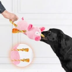 Doglove Hundespielzeug Schwein -Günstiges Kornfrei Futter Geschäft 303598 edupet doglove hundespielzeug pferd hs 04 5