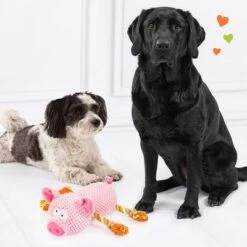 Doglove Hundespielzeug Schwein -Günstiges Kornfrei Futter Geschäft 303598 edupet doglove hundespielzeug pferd hs 05 3