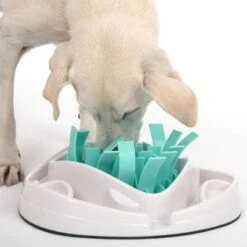 TIAKI Intelligenzspielzeug Grass Slow Feeder -Günstiges Kornfrei Futter Geschäft 304297 tiaki dog grass slow feeder fg 1855 7