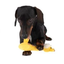 TIAKI Gestricktes Hundespielzeug Giraffe -Günstiges Kornfrei Futter Geschäft 307297 gestrickte giraffe fg 4874 3