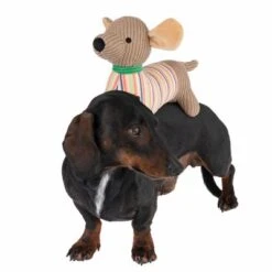 TIAKI Hundespielzeug Dackel Cooper -Günstiges Kornfrei Futter Geschäft 309596 striped jumper cooper hs 31 0