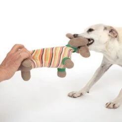 TIAKI Hundespielzeug Dackel Cooper -Günstiges Kornfrei Futter Geschäft 309596 striped jumper cooper hs 36 8