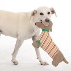 TIAKI Hundespielzeug Dackel Cooper -Günstiges Kornfrei Futter Geschäft 309596 striped jumper cooper hs 38 4