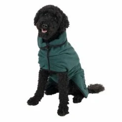 Kooa Deluxe Mikrofaser Hundebademantel -Günstiges Kornfrei Futter Geschäft 314914 kooa hundebademantel fg 2858 4