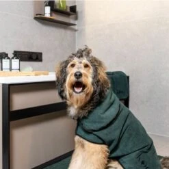 Kooa Deluxe Mikrofaser Hundebademantel -Günstiges Kornfrei Futter Geschäft 314914 kooa hundebademantel shoot1 2