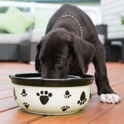 Vet's Best® Dental Atemerfrischer -Günstiges Kornfrei Futter Geschäft 317896 vetsbest dental atemerfrischer hs 03 3