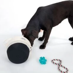 TIAKI Spielzeug-Aufbewahrungskorb -Günstiges Kornfrei Futter Geschäft 320002 tiaki spielzeug aufbewahrungskorb fg dsc2109 8