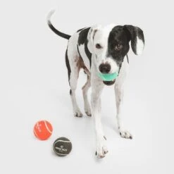 Nomad Tales Bloom Tennisball-Set -Günstiges Kornfrei Futter Geschäft 323035 nomad tales tennisball set 04 5