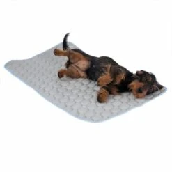 Kühldecke Bubbles -Günstiges Kornfrei Futter Geschäft 326796 kuehldecke bubbles fg 8237 7