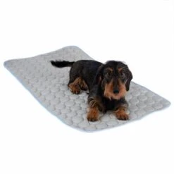 Kühldecke Bubbles -Günstiges Kornfrei Futter Geschäft 326796 kuehldecke bubbles fg 8239 8