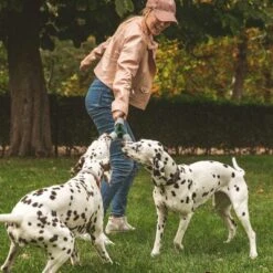 Nomad Tales Spirit Spieltau Kleeblatt -Günstiges Kornfrei Futter Geschäft 333014 nomad tales spirit spieltau kleeblatt 01 7