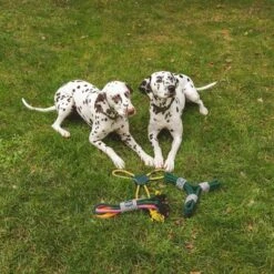 Nomad Tales Spirit Spieltau Kleeblatt -Günstiges Kornfrei Futter Geschäft 333014 nomad tales spirit spieltau kleeblatt 03 4