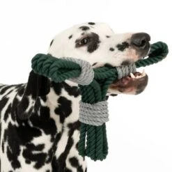 Nomad Tales Spirit Spieltau Kleeblatt -Günstiges Kornfrei Futter Geschäft 333014 spirit clover rope toy fg 0554 6