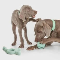 Nomad Tales Bloom Snack-Roller -Günstiges Kornfrei Futter Geschäft 333015 nomad tales snack ball 01 4