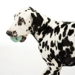 Nomad Tales Bloom Snack-Roller -Günstiges Kornfrei Futter Geschäft 333015 rolling snack roll fg 0570 7