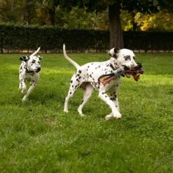 Nomad Tales Spirit Hundespielzeug Multirope -Günstiges Kornfrei Futter Geschäft 333098 nomad tales spirit multirope hs 02 8