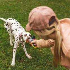 Nomad Tales Spirit Hundespielzeug Multirope -Günstiges Kornfrei Futter Geschäft 333098 nomad tales spirit multirope hs 05 3