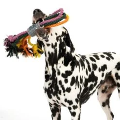 Nomad Tales Spirit Hundespielzeug Multirope -Günstiges Kornfrei Futter Geschäft 333098 spirit multirope fg 0530 3