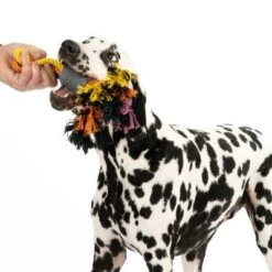 Nomad Tales Spirit Hundespielzeug Multirope -Günstiges Kornfrei Futter Geschäft 333098 spirit multirope fg 0536 2