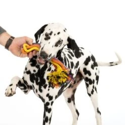 Nomad Tales Spirit Hundespielzeug Multirope -Günstiges Kornfrei Futter Geschäft 333098 spirit multirope fg 0537 5