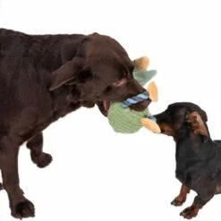 TIAKI Hundespielzeug Aral Seagull -Günstiges Kornfrei Futter Geschäft 333100 aral seagull fg 6820 3