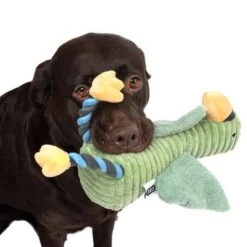 TIAKI Hundespielzeug Aral Seagull -Günstiges Kornfrei Futter Geschäft 333100 aral seagull fg 6822 4