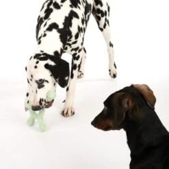 Nomad Tales Bloom Hundespielzeug Molekül -Günstiges Kornfrei Futter Geschäft 333196 bloom floating toy fg 0515 5