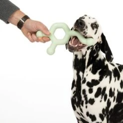 Nomad Tales Bloom Hundespielzeug Molekül -Günstiges Kornfrei Futter Geschäft 333196 bloom floating toy fg 0520 5