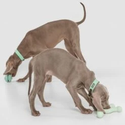 Nomad Tales Bloom Hundespielzeug Molekül -Günstiges Kornfrei Futter Geschäft 333196 nomad tales bloom hundespielzeug molek l 01 0