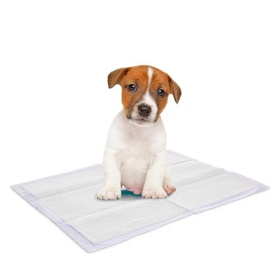 Savic Puppy Trainer Pads Mit Lavendelduft 4 Savic Puppy Trainer Pads Mit Lavendelduft – Bild 2