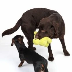 TIAKI Hundespielzeug Diplodocus -Günstiges Kornfrei Futter Geschäft 337497 diplodocus fg 6768 1