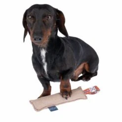 Nomad Tales Calma Hundespielzeug Kaustab -Günstiges Kornfrei Futter Geschäft 344596 calma chewing stick fg 7906 5