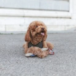 Nomad Tales Calma Hundespielzeug Kaustab -Günstiges Kornfrei Futter Geschäft 344596 nomad tales calma chewing stick hs 02 6