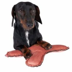 Nomad Tales Blush Hundespielzeug Flying X -Günstiges Kornfrei Futter Geschäft 344597 blush fying x fg 7914 4