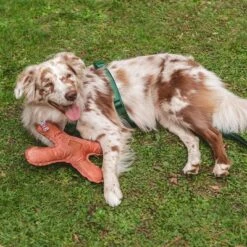 Nomad Tales Blush Hundespielzeug Flying X -Günstiges Kornfrei Futter Geschäft 344597 nomad tales blush flyingx hs 02 2