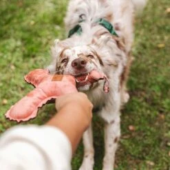 Nomad Tales Blush Hundespielzeug Flying X -Günstiges Kornfrei Futter Geschäft 344597 nomad tales blush flyingx hs 03 2