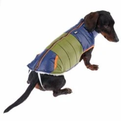 TIAKI Hundejacke Stripesneu 30 TIAKI Hundejacke Stripesneu -Günstiges Kornfrei Futter Geschäft 360298 tiaki stripes fg 9952 1