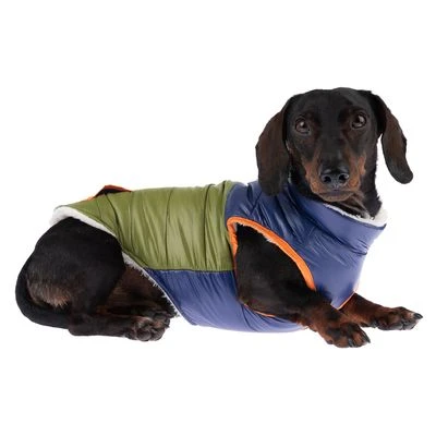 TIAKI Hundejacke Stripesneu 5 TIAKI Hundejacke Stripesneu – Bild 3