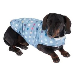 TIAKI Hundemantel Comfy Dotsneu 29 TIAKI Hundemantel Comfy Dotsneu -Günstiges Kornfrei Futter Geschäft 360301 comfy dots fg 9969 3