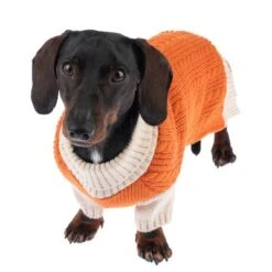 TIAKI Hundepullover Padded Knitneu -Günstiges Kornfrei Futter Geschäft 360305 padded knit 35cm fg 9943 9