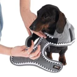 TIAKI Hundemantel Sparkneu -Günstiges Kornfrei Futter Geschäft 360896 spark 30cm fg 0535 9